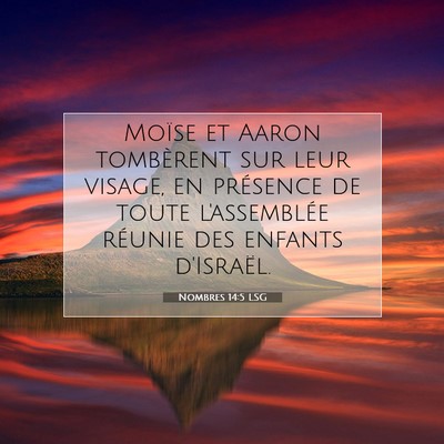 Picture 07 - Nombres 14:5 LSG - Moïse et Aaron tombèrent sur leur visage, en - Bible Verse Picture