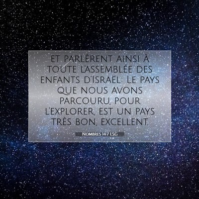 Picture 07 - Nombres 14:7 LSG - et parlèrent ainsi à toute l'assemblée des - Bible Verse Picture