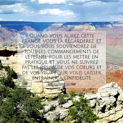 Picture 07 - Nombres 15:39 LSG - Quand vous aurez cette frange, vous la - Bible Verse Picture
