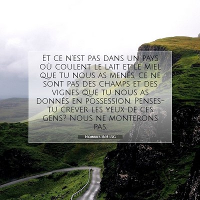 Picture 07 - Nombres 16:14 LSG - Et ce n'est pas dans un pays où coulent le lait - Bible Verse Picture