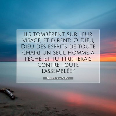 Picture 07 - Nombres 16:22 LSG - Ils tombèrent sur leur visage, et dirent: O - Bible Verse Picture