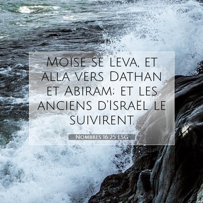 Picture 07 - Nombres 16:25 LSG - Moïse se leva, et alla vers Dathan et Abiram; et - Bible Verse Picture