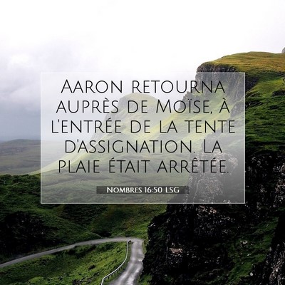 Picture 07 - Nombres 16:50 LSG - Aaron retourna auprès de Moïse, à l'entrée de - Bible Verse Picture