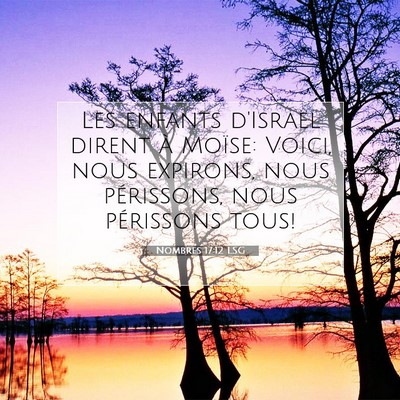 Picture 07 - Nombres 17:12 LSG - Les enfants d'Israël dirent à Moïse: Voici, - Bible Verse Picture