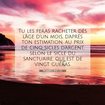 Picture 07 - Nombres 18:16 LSG - Tu les feras racheter dès l'âge d'un mois, - Bible Verse Picture