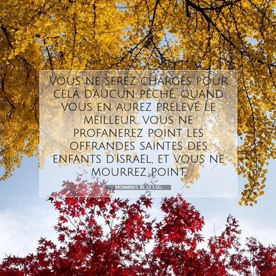 Picture 07 - Nombres 18:32 LSG - Vous ne serez chargés pour cela d'aucun péché, - Bible Verse Picture