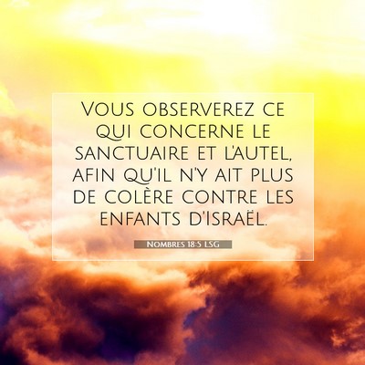 Picture 07 - Nombres 18:5 LSG - Vous observerez ce qui concerne le sanctuaire et - Bible Verse Picture