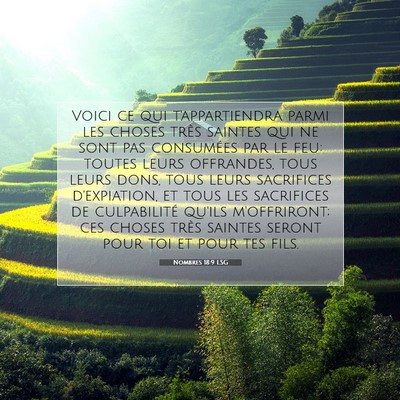 Picture 07 - Nombres 18:9 LSG - Voici ce qui t'appartiendra parmi les choses - Bible Verse Picture