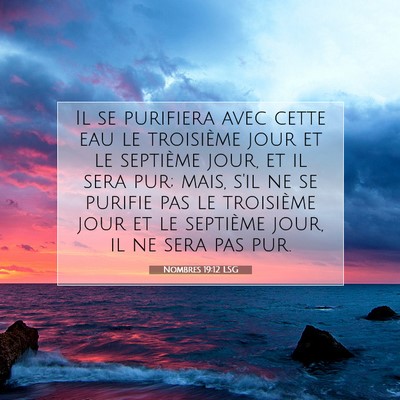 Picture 07 - Nombres 19:12 LSG - Il se purifiera avec cette eau le troisième jour - Bible Verse Picture