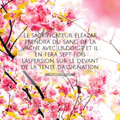 Picture 07 - Nombres 19:4 LSG - Le sacrificateur Eléazar prendra du sang de la - Bible Verse Picture