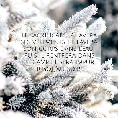 Picture 07 - Nombres 19:7 LSG - Le sacrificateur lavera ses vêtements, et lavera - Bible Verse Picture