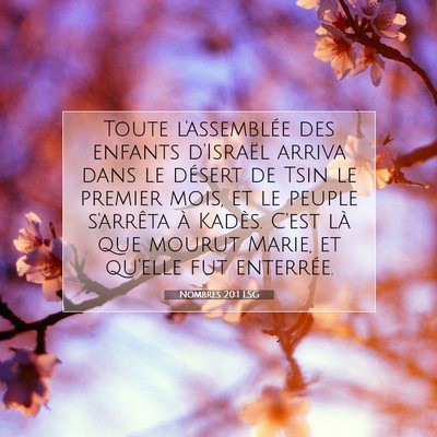 Picture 07 - Nombres 20:1 LSG - Toute l'assemblée des enfants d'Israël arriva - Bible Verse Picture