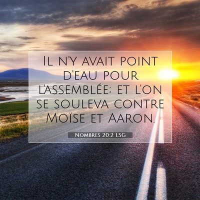 Picture 07 - Nombres 20:2 LSG - Il n'y avait point d'eau pour l'assemblée; et - Bible Verse Picture