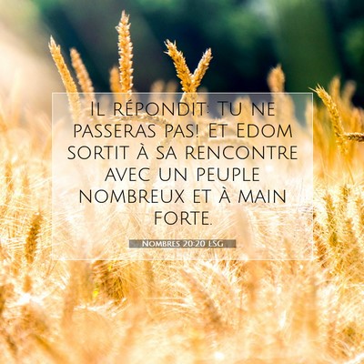 Picture 07 - Nombres 20:20 LSG - Il répondit: Tu ne passeras pas! Et Edom sortit - Bible Verse Picture
