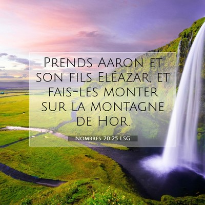 Picture 07 - Nombres 20:25 LSG - Prends Aaron et son fils Eléazar, et fais-les - Bible Verse Picture