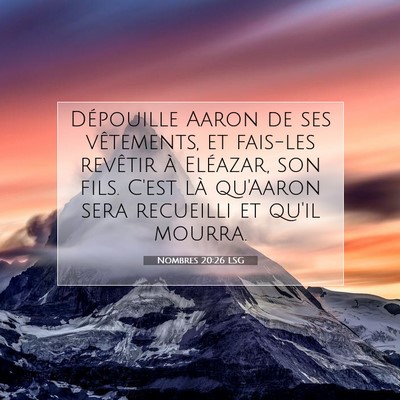 Picture 07 - Nombres 20:26 LSG - Dépouille Aaron de ses vêtements, et fais-les - Bible Verse Picture