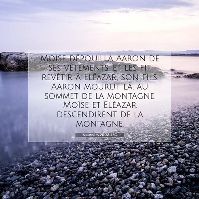 Picture 07 - Nombres 20:28 LSG - Moïse dépouilla Aaron de ses vêtements, et les - Bible Verse Picture