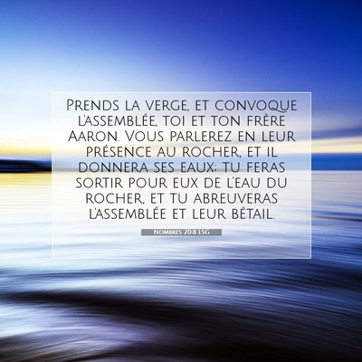 Picture 07 - Nombres 20:8 LSG - Prends la verge, et convoque l'assemblée, toi et - Bible Verse Picture