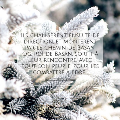 Picture 07 - Nombres 21:33 LSG - Ils changèrent ensuite de direction, et - Bible Verse Picture