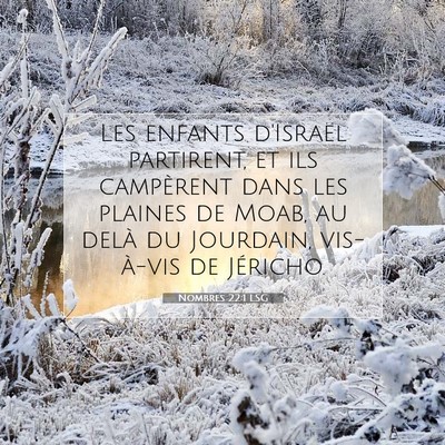 Picture 07 - Nombres 22:1 LSG - Les enfants d'Israël partirent, et ils - Bible Verse Picture