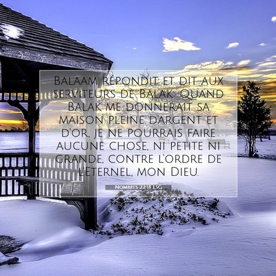 Picture 07 - Nombres 22:18 LSG - Balaam répondit et dit aux serviteurs de Balak: - Bible Verse Picture