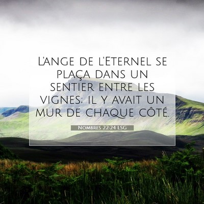 Picture 07 - Nombres 22:24 LSG - L'ange de l'Eternel se plaça dans un sentier - Bible Verse Picture