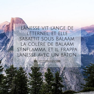 Picture 07 - Nombres 22:27 LSG - L'ânesse vit l'ange de l'Eternel, et elle - Bible Verse Picture
