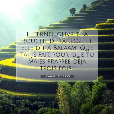 Picture 07 - Nombres 22:28 LSG - L'Eternel ouvrit la bouche de l'ânesse, et elle - Bible Verse Picture