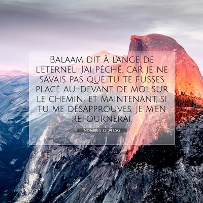 Picture 07 - Nombres 22:34 LSG - Balaam dit à l'ange de l'Eternel: J'ai péché, - Bible Verse Picture
