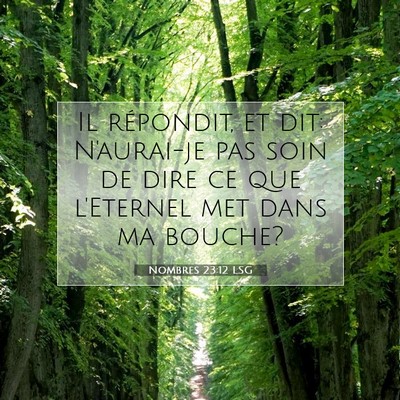 Picture 07 - Nombres 23:12 LSG - Il répondit, et dit: N'aurai-je pas soin de dire - Bible Verse Picture