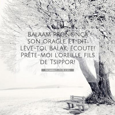 Picture 07 - Nombres 23:18 LSG - Balaam prononça son oracle, et dit: Lève-toi, - Bible Verse Picture