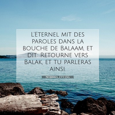 Picture 07 - Nombres 23:5 LSG - L'Eternel mit des paroles dans la bouche de - Bible Verse Picture