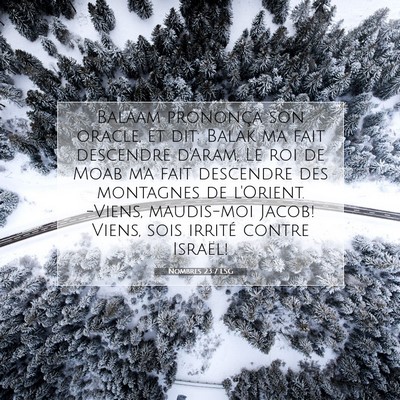 Picture 07 - Nombres 23:7 LSG - Balaam prononça son oracle, et dit: Balak m'a - Bible Verse Picture