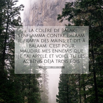 Picture 07 - Nombres 24:10 LSG - La colère de Balak s'enflamma contre Balaam; il - Bible Verse Picture