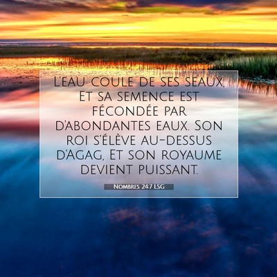 Picture 07 - Nombres 24:7 LSG - L'eau coule de ses seaux, Et sa semence est - Bible Verse Picture