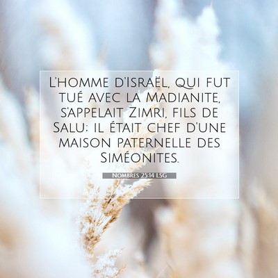Picture 07 - Nombres 25:14 LSG - L'homme d'Israël, qui fut tué avec la - Bible Verse Picture