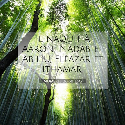 Picture 07 - Nombres 26:60 LSG - Il naquit à Aaron: Nadab et Abihu, Eléazar et - Bible Verse Picture