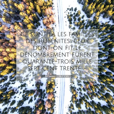 Picture 07 - Nombres 26:7 LSG - Ce sont là les familles des Rubénites: ceux - Bible Verse Picture
