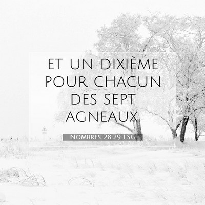 Picture 07 - Nombres 28:29 LSG - et un dixième pour chacun des sept - Bible Verse Picture