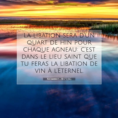 Picture 07 - Nombres 28:7 LSG - La libation sera d'un quart de hin pour chaque - Bible Verse Picture