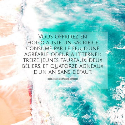 Picture 07 - Nombres 29:13 LSG - Vous offrirez en holocauste un sacrifice consumé - Bible Verse Picture