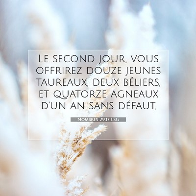 Picture 07 - Nombres 29:17 LSG - Le second jour, vous offrirez douze jeunes - Bible Verse Picture