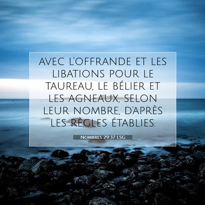 Picture 07 - Nombres 29:37 LSG - avec l'offrande et les libations pour le taureau, - Bible Verse Picture