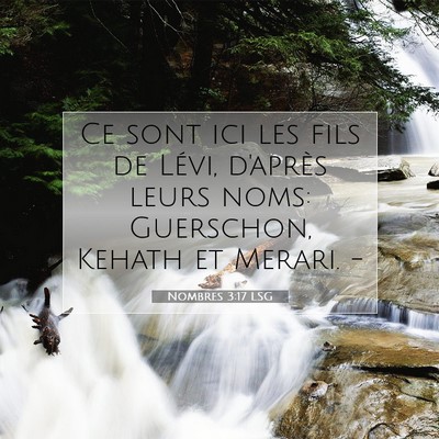 Picture 07 - Nombres 3:17 LSG - Ce sont ici les fils de Lévi, d'après leurs - Bible Verse Picture