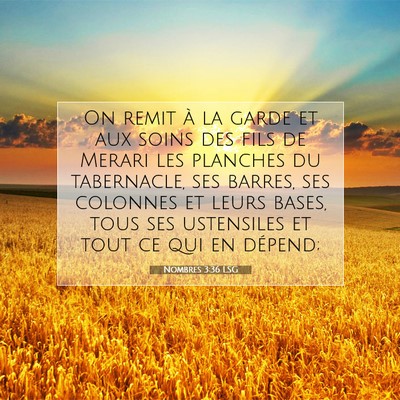 Picture 07 - Nombres 3:36 LSG - On remit à la garde et aux soins des fils de - Bible Verse Picture
