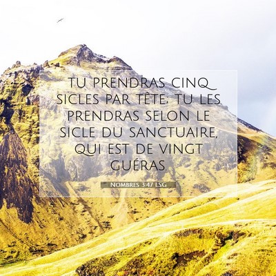 Picture 07 - Nombres 3:47 LSG - tu prendras cinq sicles par tête; tu les - Bible Verse Picture