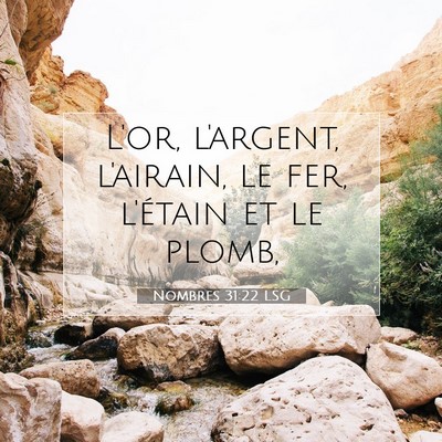 Picture 07 - Nombres 31:22 LSG - L'or, l'argent, l'airain, le fer, l'étain et le - Bible Verse Picture