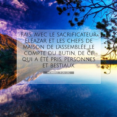 Picture 07 - Nombres 31:26 LSG - Fais, avec le sacrificateur Eléazar et les chefs - Bible Verse Picture