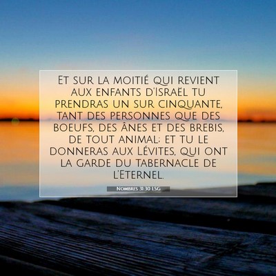 Picture 07 - Nombres 31:30 LSG - Et sur la moitié qui revient aux enfants - Bible Verse Picture