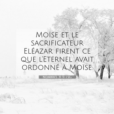 Picture 07 - Nombres 31:31 LSG - Moïse et le sacrificateur Eléazar firent ce que - Bible Verse Picture